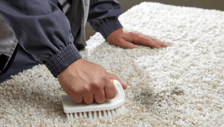 Professional Rug Cleaning Quandong